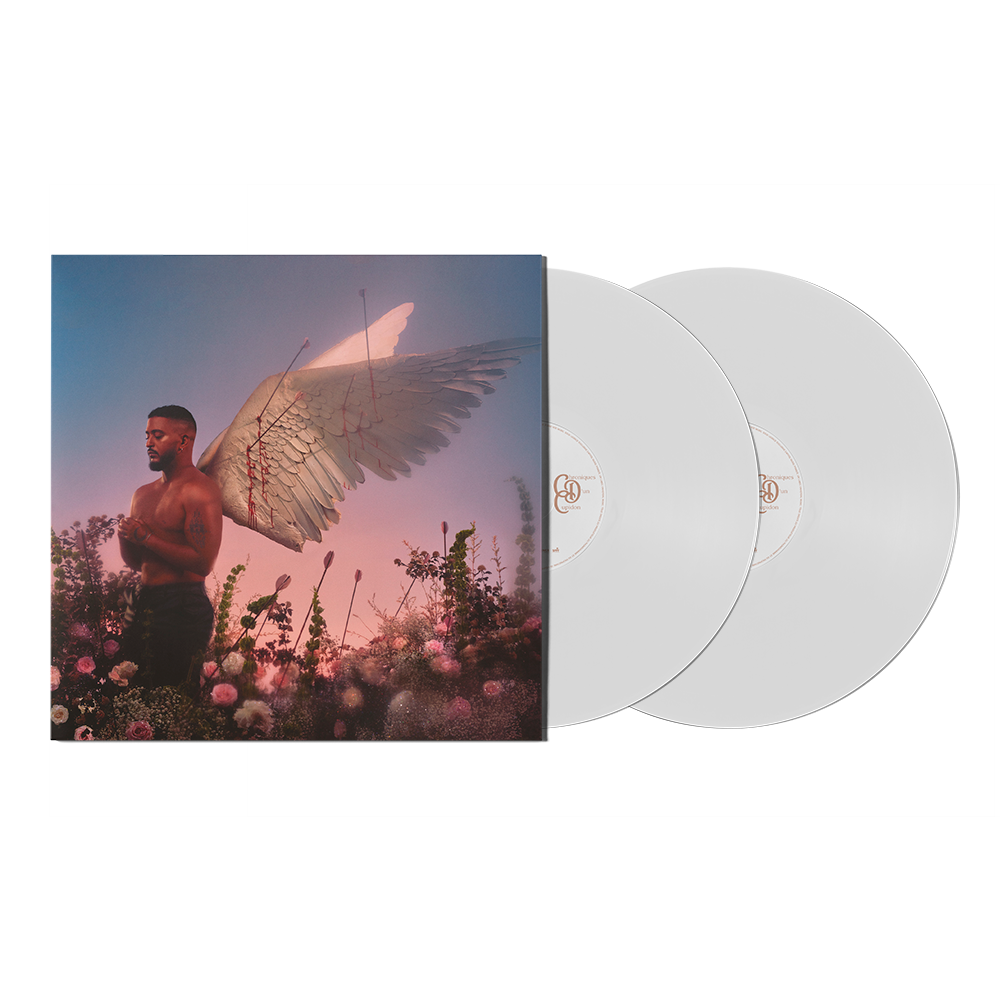 Vinyle "Chroniques d'un cupidon"